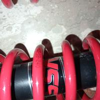 ammortizarori sh 300