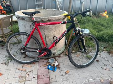 Bicicletta