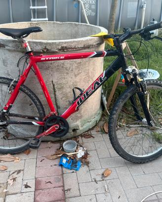 Bicicletta