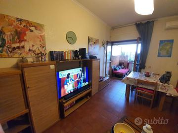 Monolocale Cinecittà Est