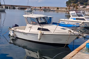 Barca per la pesca