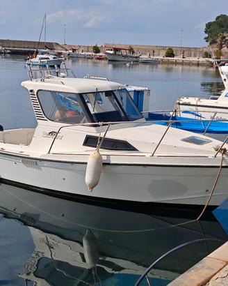 Barca per la pesca e non solo...