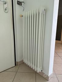 Termosifone Zehnder tubolare ad acqua