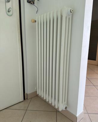 Termosifone Zehnder tubolare ad acqua