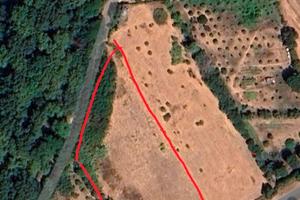 Terreno agricolo San Sperate Pixinortu