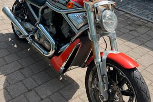 Harley Davidson VRSCR Street Rod (2005) no bollo