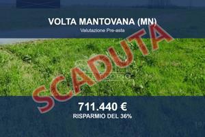 Immobile in asta di 44291 m² a Volta Mantovana