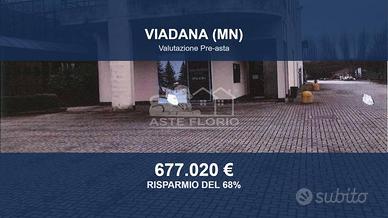 Immobile in asta di 8222 m² a Viadana