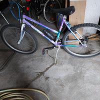 mountain bike