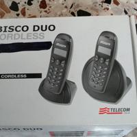 Due telefoni Cordless