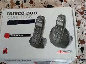 Due telefoni Cordless