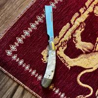 Rasoio in osso bianco