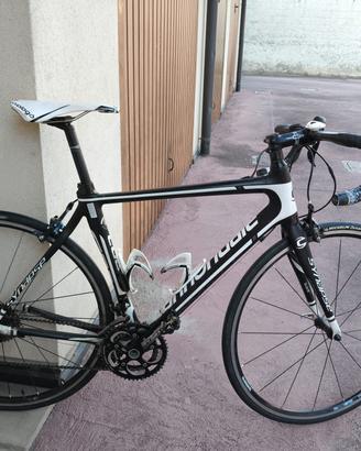 BDC Cannondale Synapse Carbon