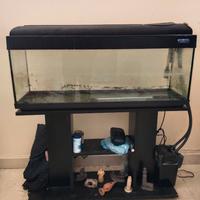 Acquario