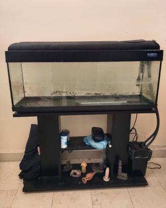 Acquario