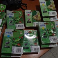 13 cartucce a soli 100€ epson r800 r1800 2100