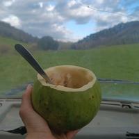 Semi di zucca tamburo