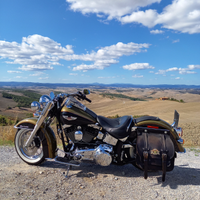 Softail Deluxe FLSTN