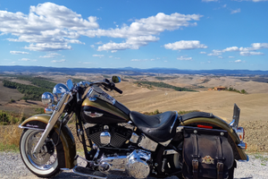 Softail Deluxe FLSTN