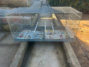 Gabbia per uccelli