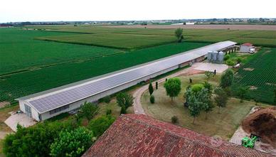 C.,E.,R.,C.,O., allevamento capannone avicolo