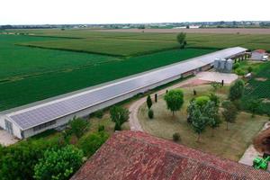 C.,E.,R.,C.,O., allevamento capannone avicolo