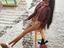 Immagine 4