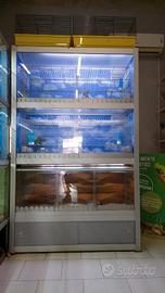 espiatorio per uccelli e piccoli roditori