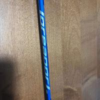 canna da pesca da bolentino ( barca)