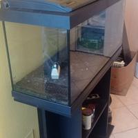 Acquario con filtro, mobile e accessori.