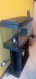 Acquario con filtro, mobile e accessori.