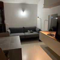 Divano IKEA ÄPPLARYD 2 posti