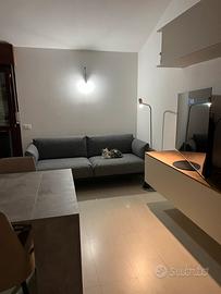 Divano IKEA ÄPPLARYD 2 posti