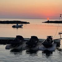 Pedana Galleggiante Wave Armor SLX6