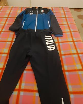 Tuta puma