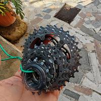 Pacco pignoni Campagnolo Chorus 11v rapporti 12/27