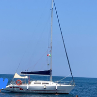 Barca a vela Stag 29