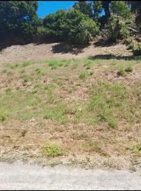 Terreno Agricolo vicino il mare