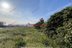 Terreno, Isola delle Femmine.