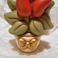 Thun pianta peperoncino