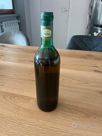 Bottiglia di vino Falerio Colli Ascolani del 1979