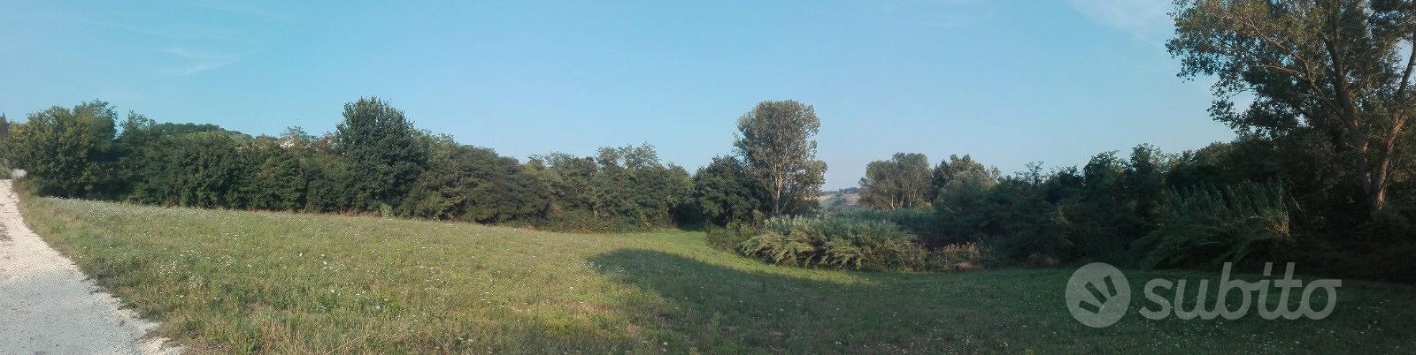 Terreno irrigabile - Vista 2