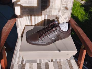 scarpe Lacoste nuove 