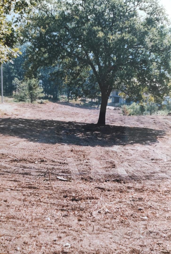 Terreno Agricolo - Vista 2