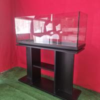 acquario da 100 litri