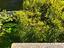 Immagine 16