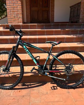 Bicicletta BRERA