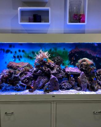 acquario juwel rio 450 led