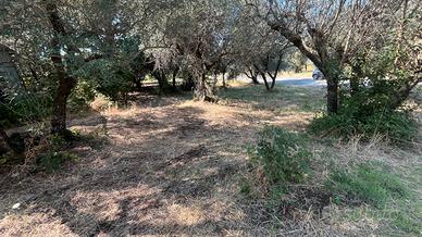 Terreno edificabile 550 mq marcellina