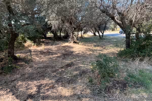 Terreno edificabile 550 mq marcellina